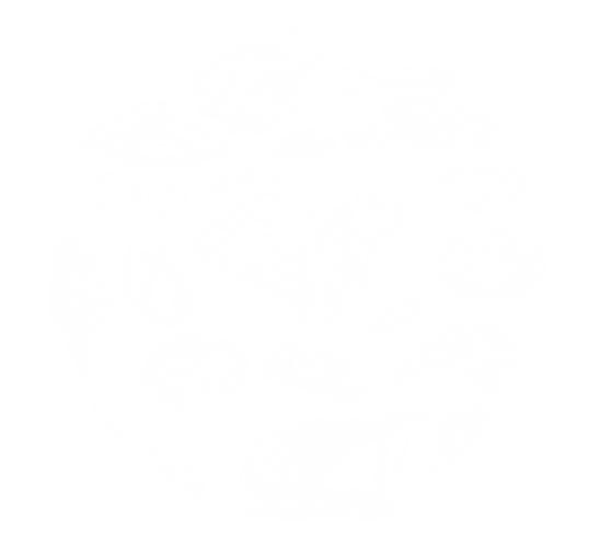 bg-meat-footer.png