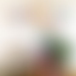 Dünya Kadınlar Günü - 8 Mart