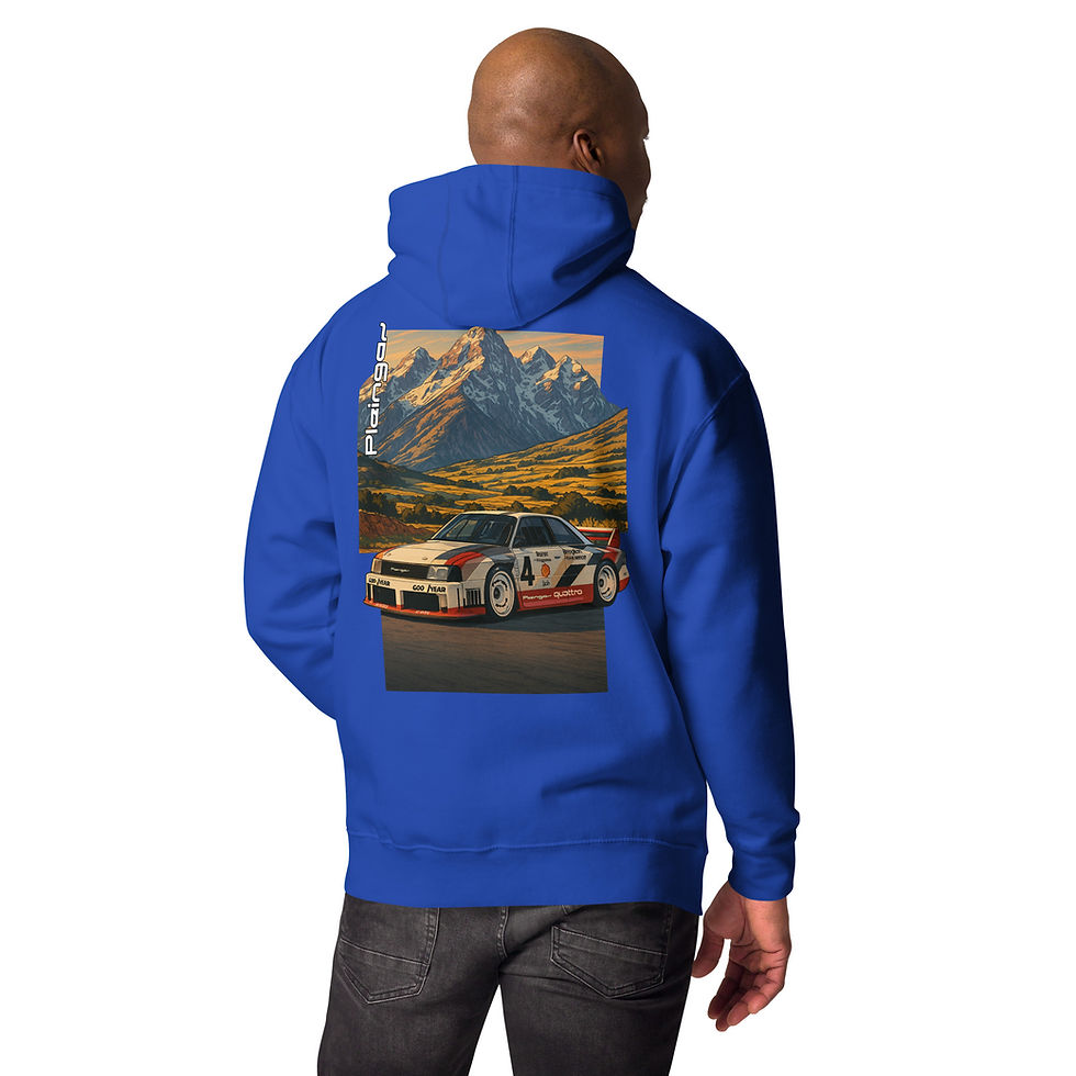 Miniature : Hoodie Pleingaz IMSA GTO - du S au 3XL - unisex coton/polyester