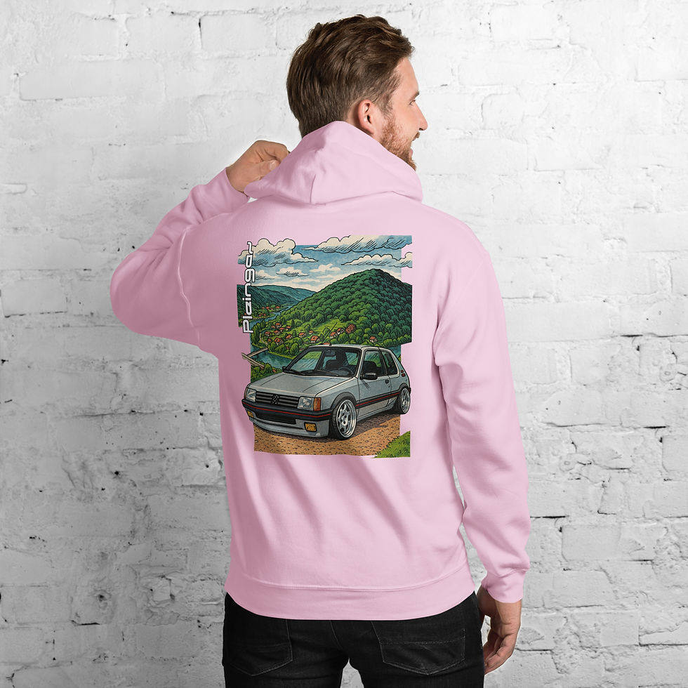 Thumbnail: Hoodie Pleingaz 205 SILVER Unisex Coton/Polyester