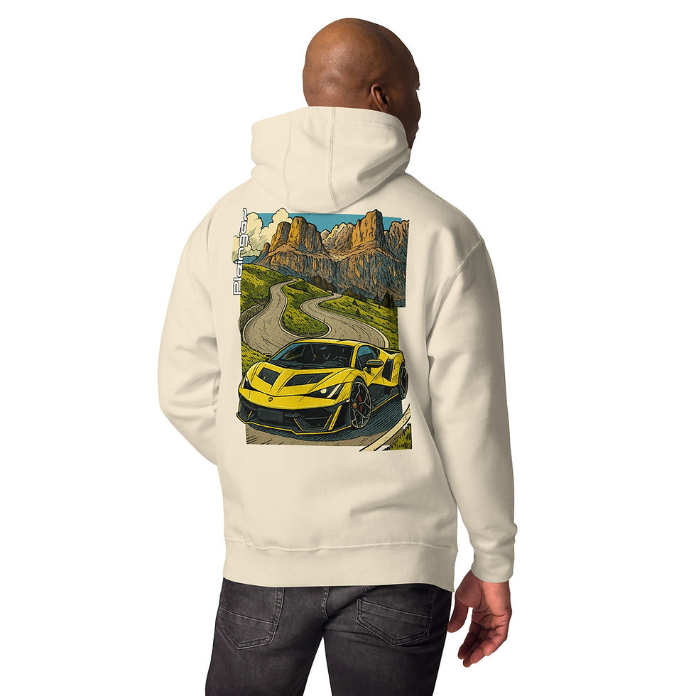 Miniature : Hoodie Pleingaz FENOMENO - du S au 3XL - unisex coton/polyester