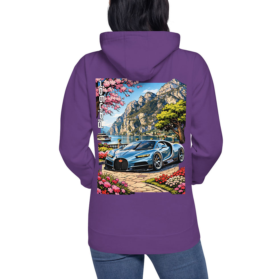 Miniature : Hoodie Pleingaz TOURBILLON - du S au 3XL  - unisex coton/polyester