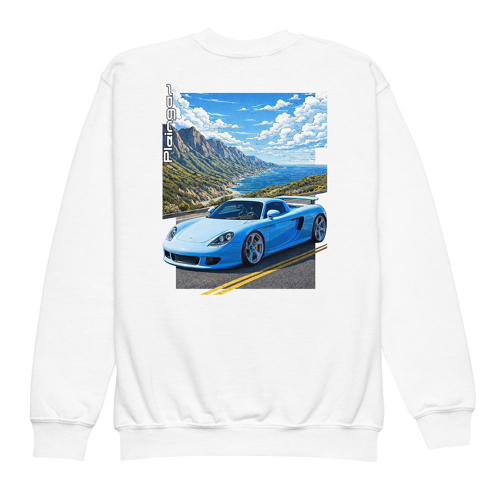 Miniature : Pull enfant Pleingaz CARRERA GT TURQUOISE unisex coton/polyester
