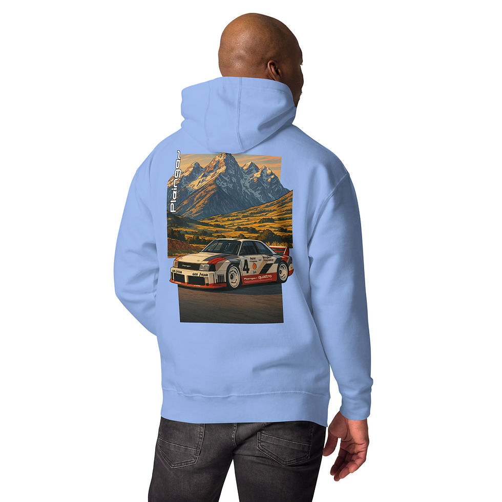 Miniature : Hoodie Pleingaz IMSA GTO - du S au 3XL - unisex coton/polyester