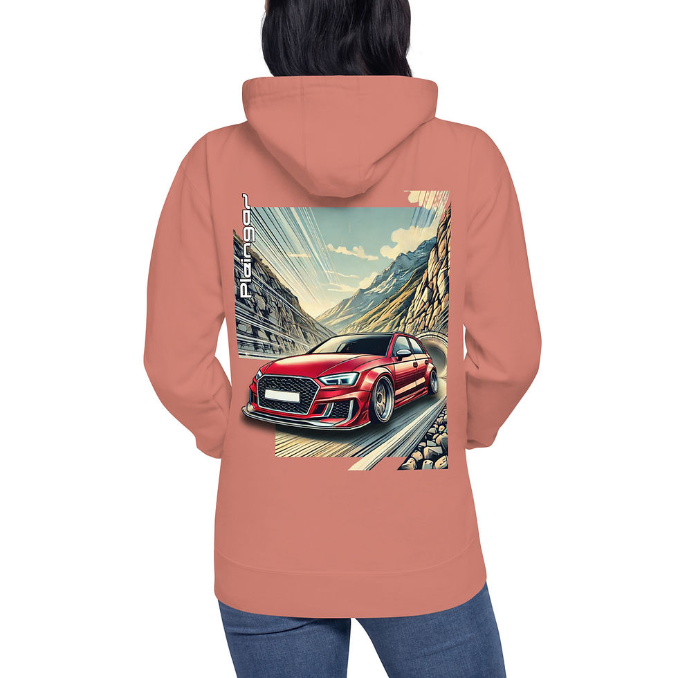 Miniature : Hoodie Pleingaz RS3 8V - du S au 3XL - unisex coton/polyester
