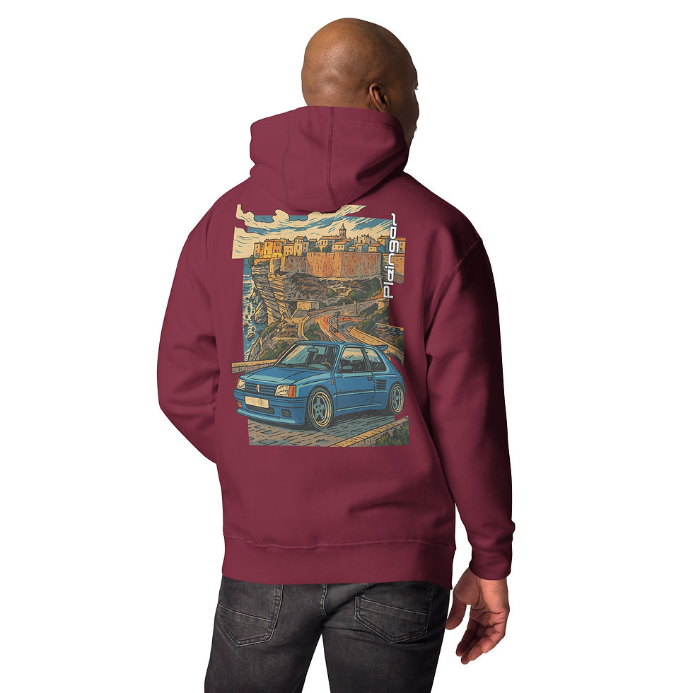 Miniature : Hoodie Pleingaz 205 DIMMA - du S au 3XL  - unisex coton/polyester