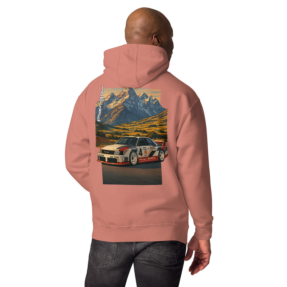 Miniature : Hoodie Pleingaz IMSA GTO - du S au 3XL - unisex coton/polyester