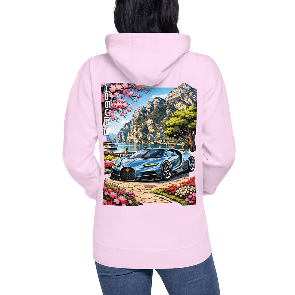 Miniature : Hoodie Pleingaz TOURBILLON - du S au 3XL  - unisex coton/polyester