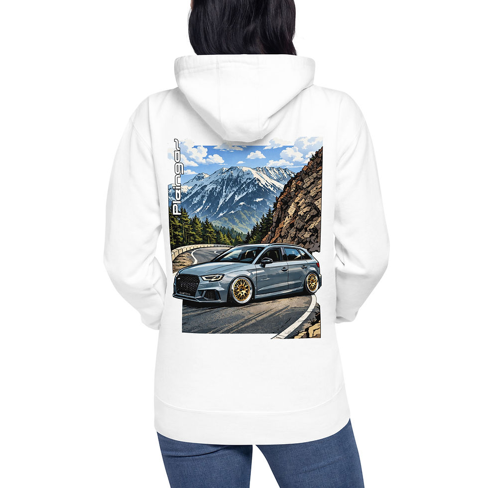 Miniaturbild: Hoodie Pleingaz RS3 8V NARDO - du S au 3XL - unisex coton/polyester