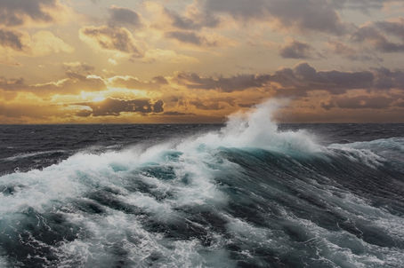 Harnessing the Power of the Sea: Exploring the Benefits of Organic Fertilizer from the Ocean.