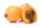 Loquat