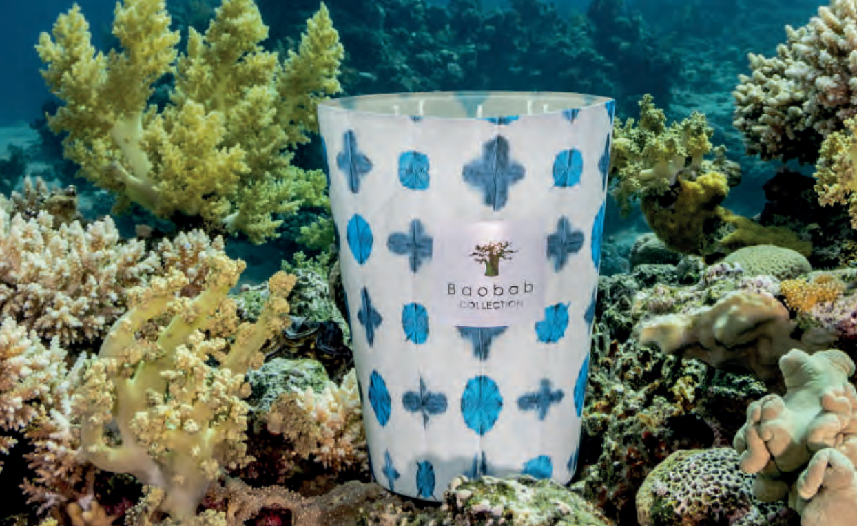 Ulysse-Candles Baobab