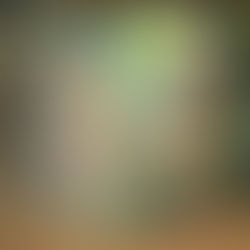 John Mayall - Blues from Laurel Canyon