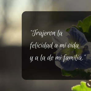 Andrea Taboada