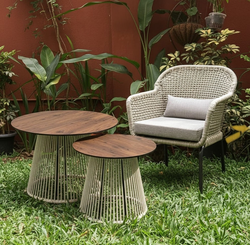 Thumbnail: Cone nest