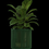 Thumbnail: Drumstick plant holders