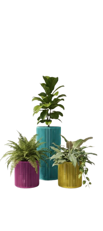 Thumbnail: Drumstick plant holders