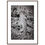 Thumbnail: Rapsodia Silvestre (Detalle) - Premium Semi-Glossy Paper Wooden Framed Poster