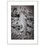 Thumbnail: Rapsodia Silvestre (Detalle) - Premium Wooden Framed Poster