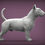 Thumbnail: Bull Terrier