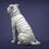 Thumbnail: Shar Pei