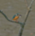 DSC_2423.jpg