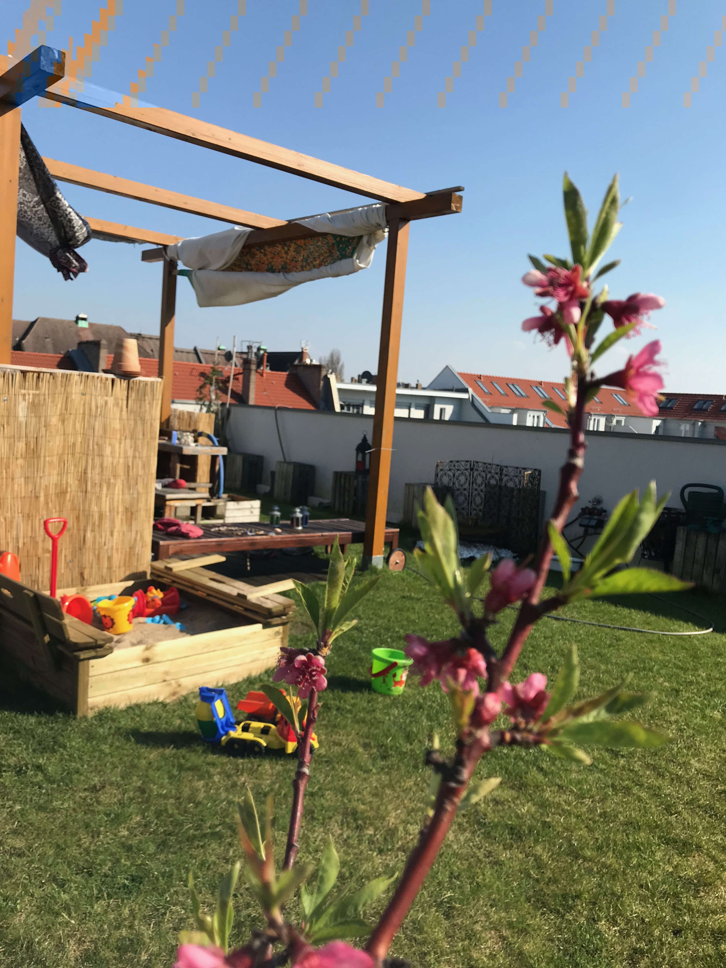 Kübelgärten 2019