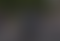 ハワイの魅力が一気にわかる【夢の休日~ハワイスペシャル2018〜】