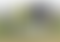 新番組【橋本マナミのLeader’sGOLF】がスタート!