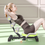 Thumbnail: Abdominal Situp Fitness Equipment