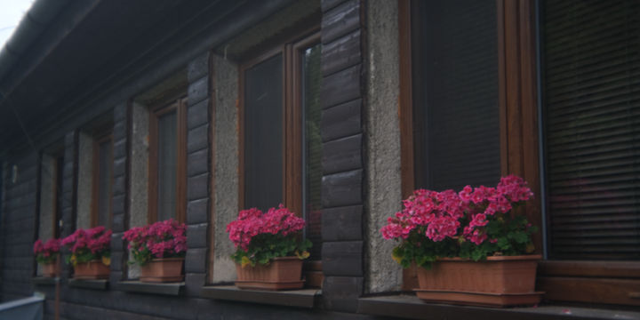 DSCF4357.JPG