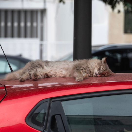 Hassan Tower Mausoleum of Mohammed V rabat morocco โมร็อกโก