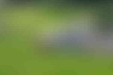 Kainokawa Rice Terraces