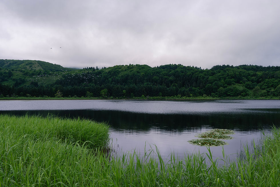 Otatomari numa Swamp rishiri island hokkaido
