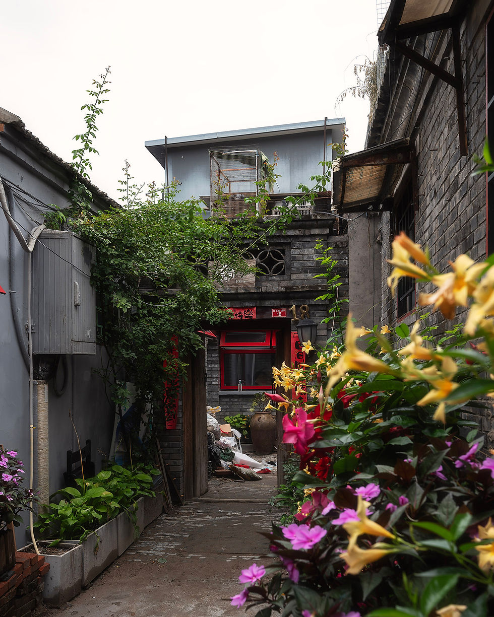 tea house beijing ร้านน้ำชา ปักกิ่ง