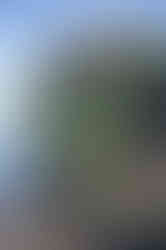 seongsan ilchulbong jeju south korea เจจู เกาหลีใต้