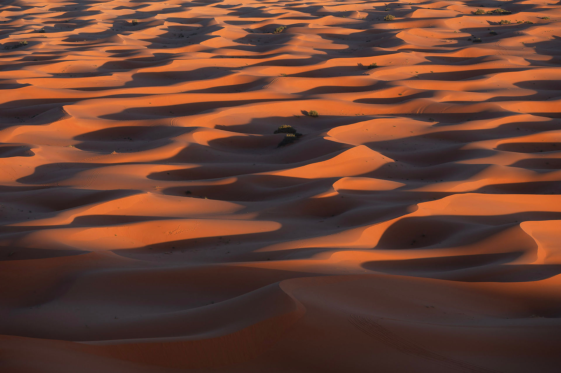 merzouga morocco เมอร์ซูก้า โมร็อกโก