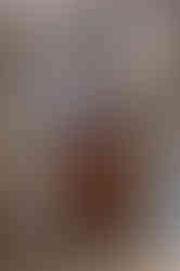 Dar El Bacha marrakesh morocco มาร์ราเกช โมร็อกโก