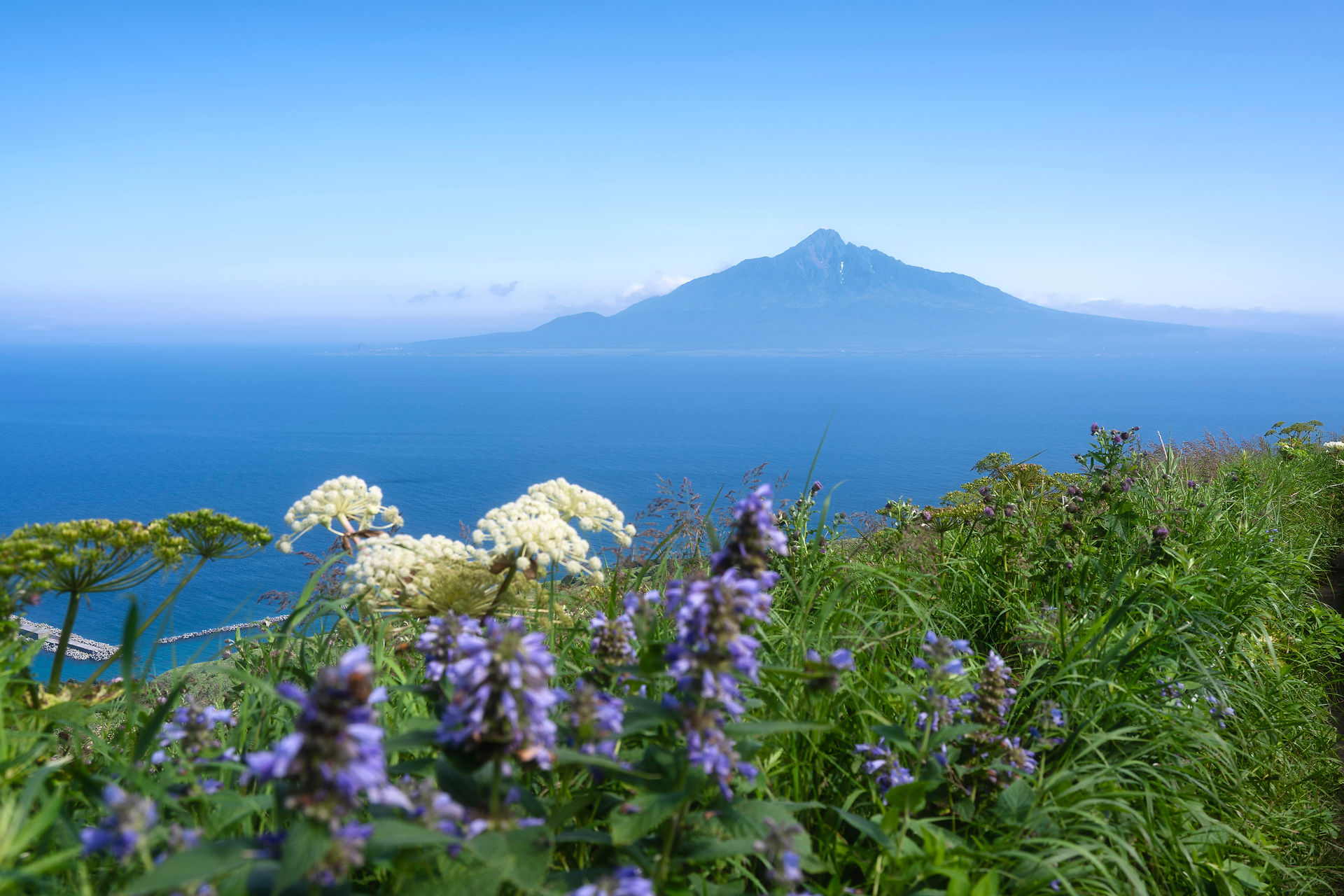 momoiwa observatory rebun island mt. rishiri hokkaido japan summer
