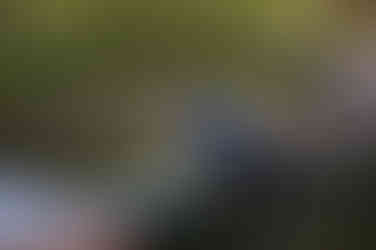 le jardin secret marrakesh morocco มาร์ราเกช โมร็อกโก