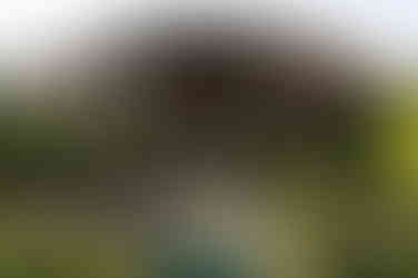 le jardin secret marrakesh morocco มาร์ราเกช โมร็อกโก