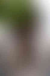 Dar El Bacha marrakesh morocco มาร์ราเกช โมร็อกโก