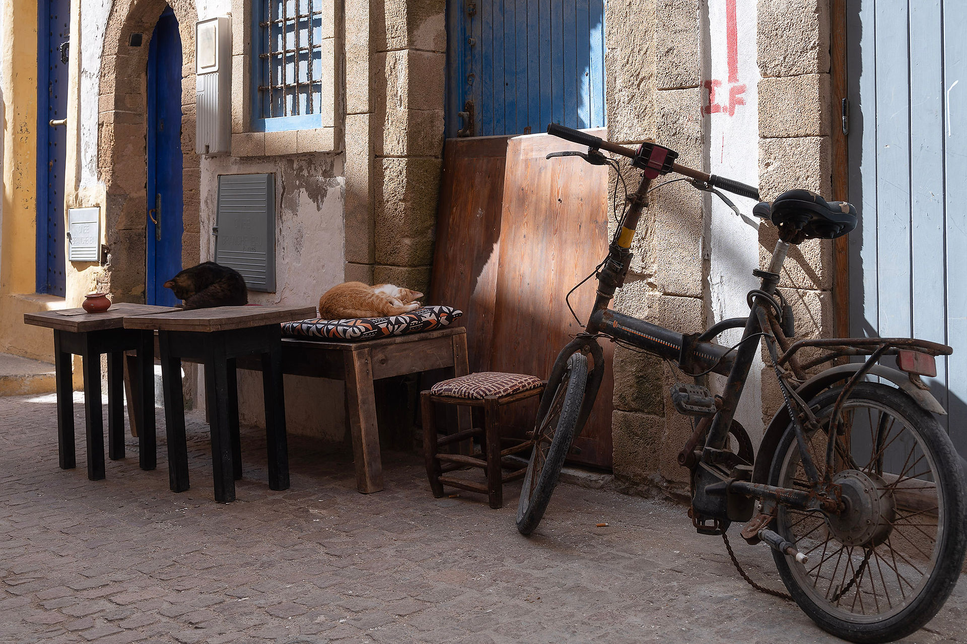 Essaouira morocco เอสเซาอิรา โมร็อกโก