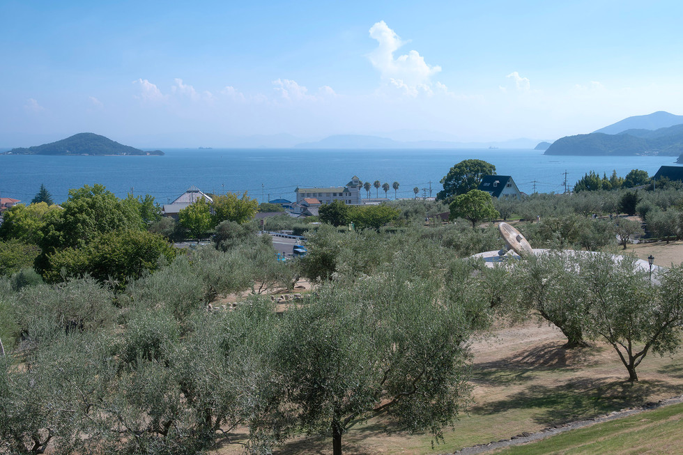 Shodoshima Olive Park
