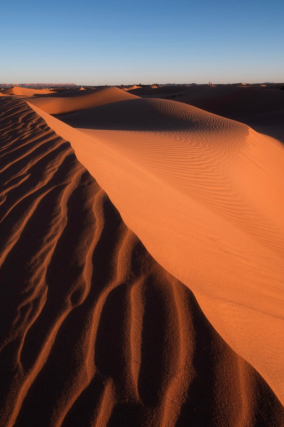 merzouga morocco เมอร์ซูก้า โมร็อกโก