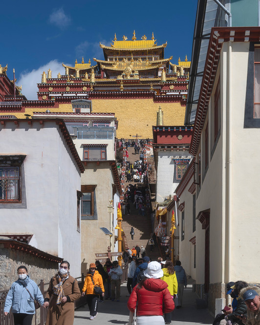 วัดลามะซงจ้านหลิน แชงกรีล่า songjanlin temple shangri-la