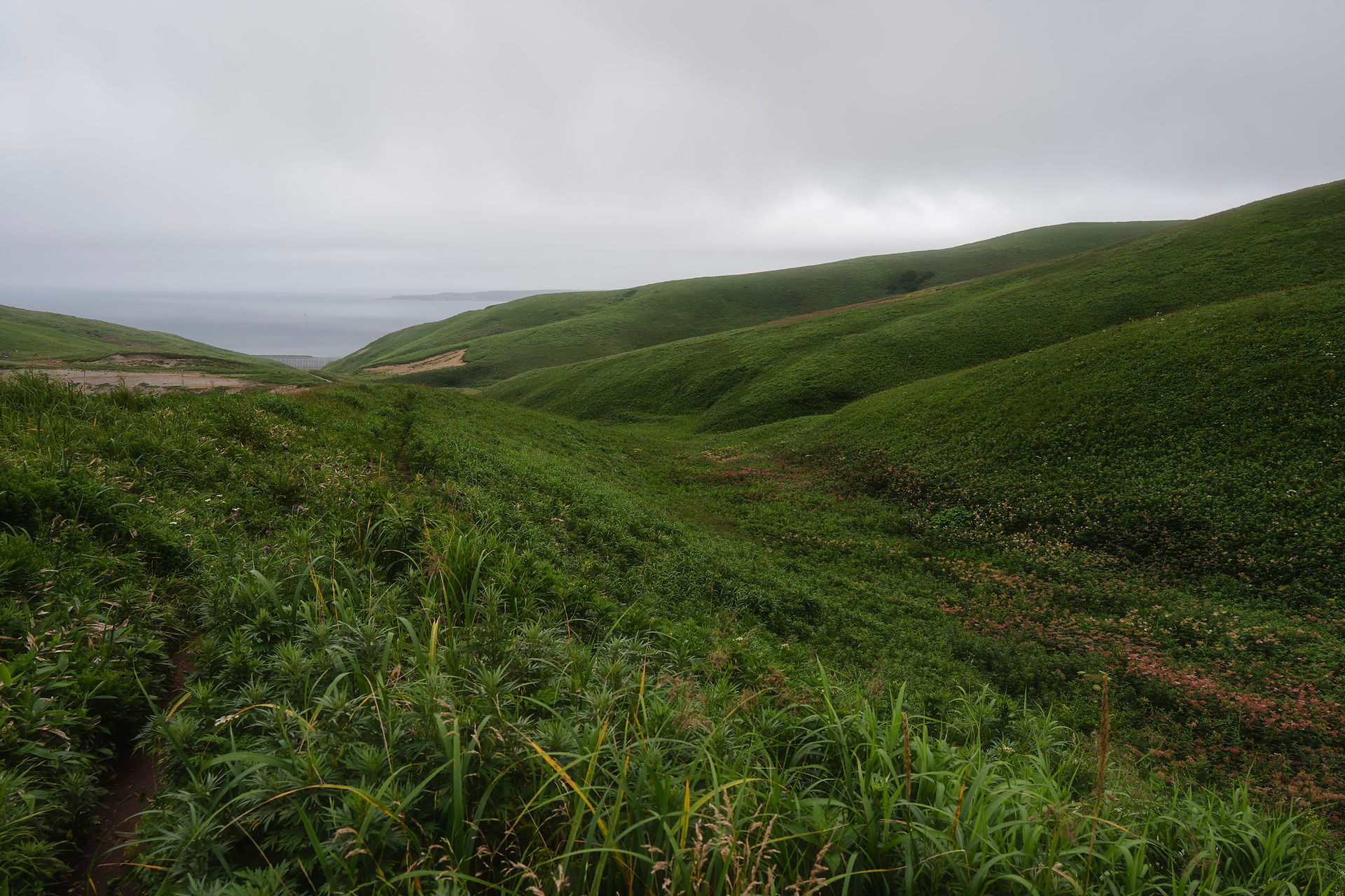 cape gorota observation deck rebun island hokkaido japan