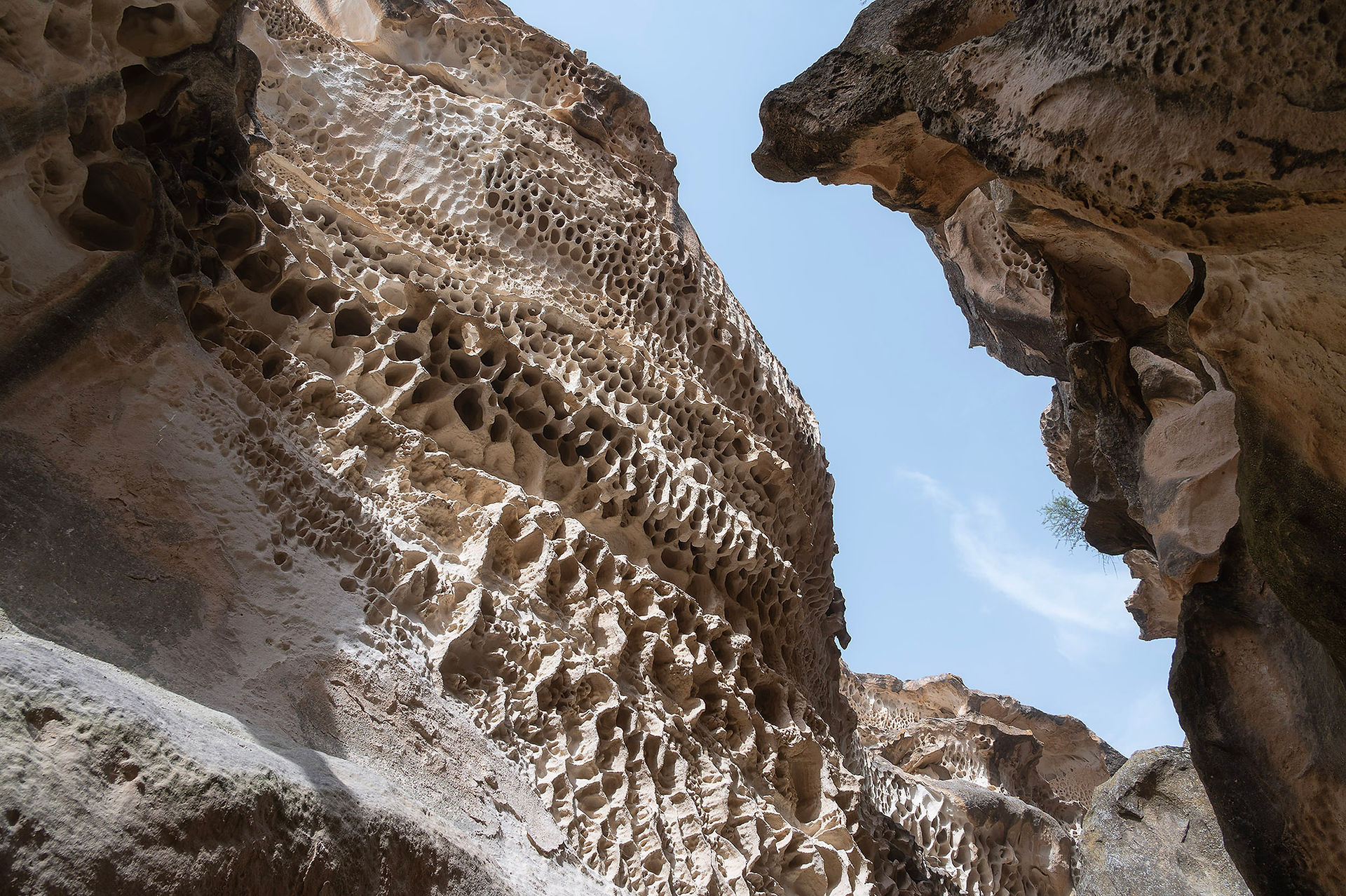 Ybykty Say canyon mangystau kazakhstan คาซัคสถาน
