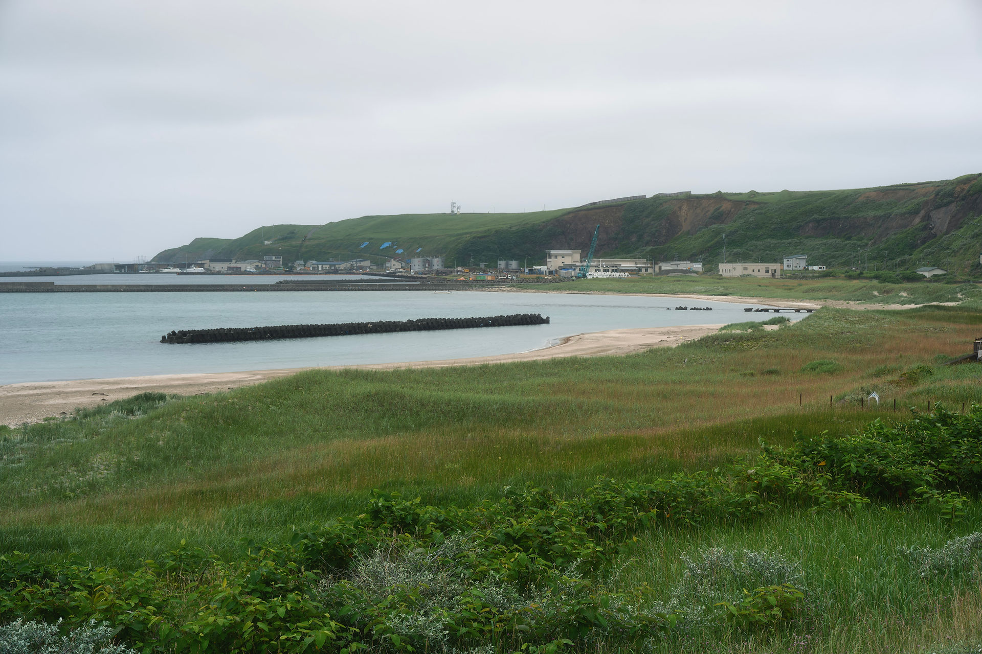 Seashells Beach Rebun Island Hokkaido Japan
