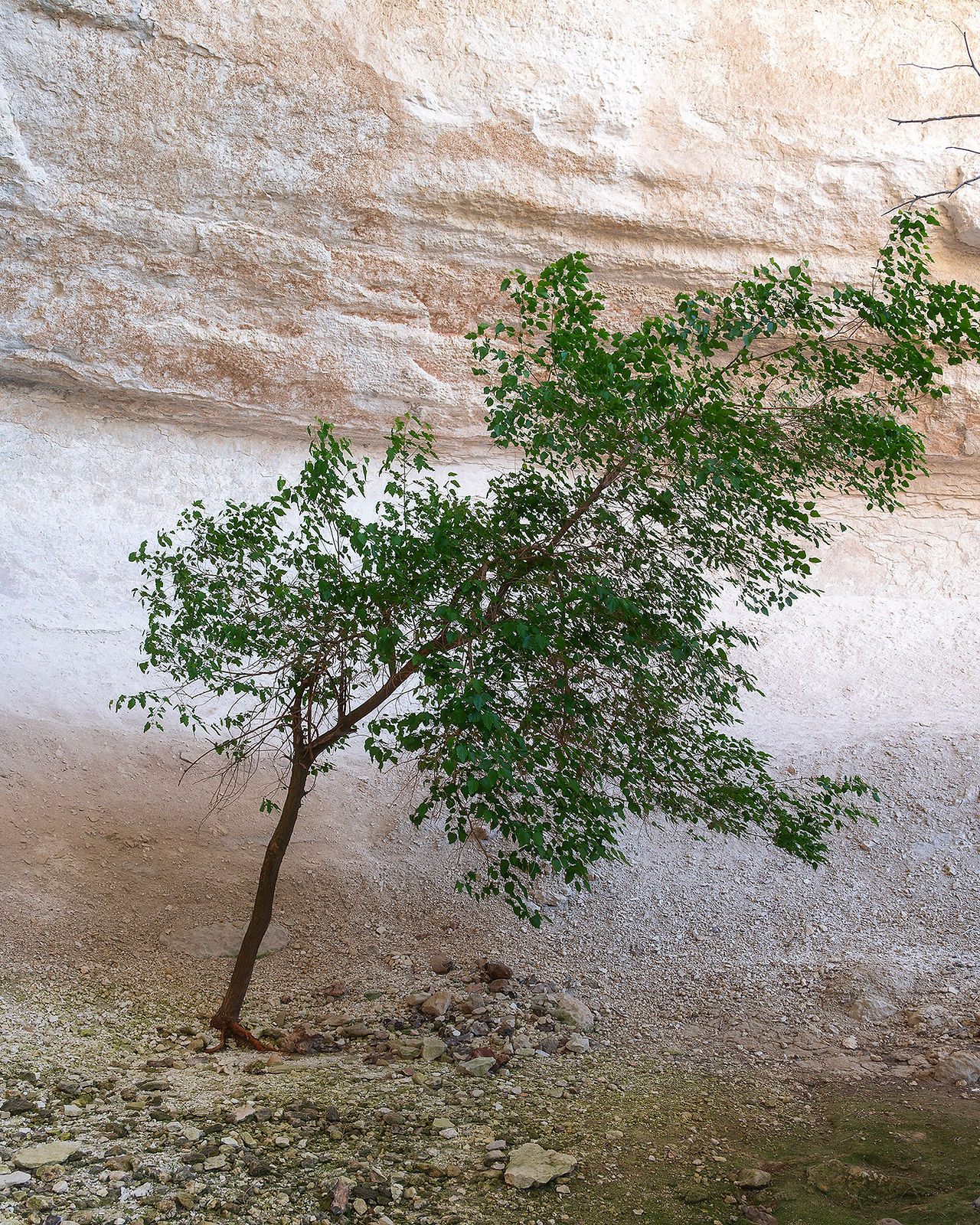 kapamsay canyon Mangystau Kazakhstan คาซัคสถาน